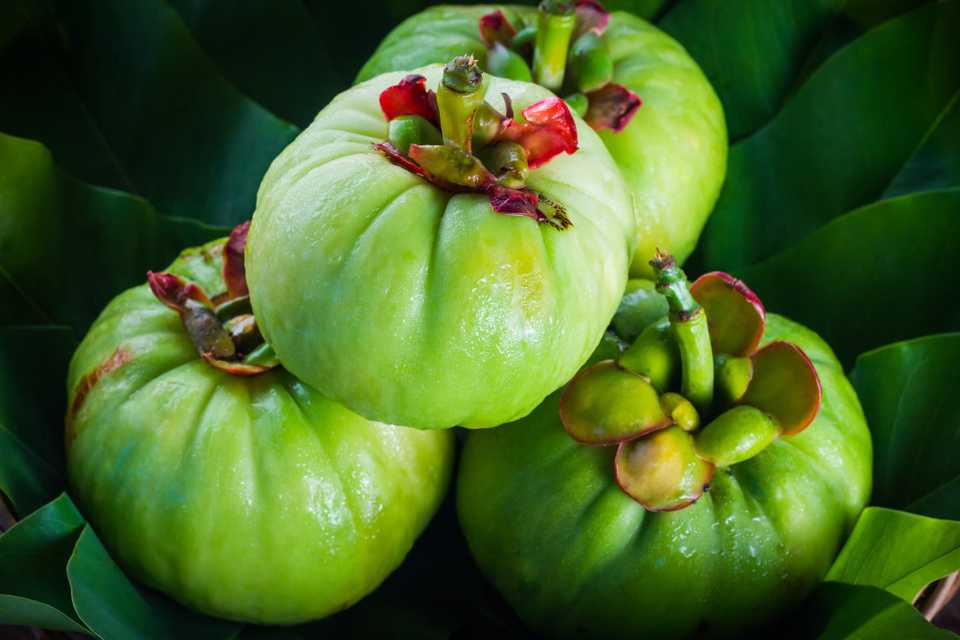 An image of 3 garcinia cambogia fruits.